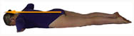 Reclining - Elongation of Spine